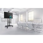 Подставка для телевизора Onkron TS1881 черный 50"-86" макс.105.9кг напольный мобильный - фото 51436596 Подставка для телевизора Onkron TS1881 черный 50"-86" макс.105.9кг напольный мобильный - фото 51436596