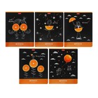 Тетрадь 48 листов клетка "Апельсиновые мечты", обложка мелованный картон, выборочный матовый лак, блок 65 г/м2, 5В МИКС - фото 320130091