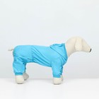 Комбинезон для животных, без подклада, размер 2XL, голубой - фото 24319758