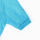 Комбинезон для животных, без подклада, размер 2XL, голубой - фото 24319767