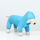 Комбинезон для животных, без подклада, размер 2XL, голубой - фото 24319759