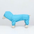 Комбинезон для животных, без подклада, размер 2XL, голубой - фото 24319760