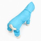 Комбинезон для животных, без подклада, размер 2XL, голубой - фото 24319761