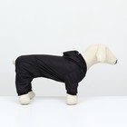 Комбинезон для животных, без подклада, размер L, чёрный - фото 22923301