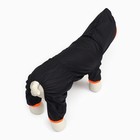 Комбинезон для животных, без подклада, размер S, чёрный-оранжевый - фото 22923354