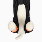 Комбинезон для животных, без подклада, размер S, чёрный-оранжевый - фото 22923356