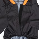 Комбинезон для животных, без подклада, размер S, чёрный-оранжевый - фото 22923357