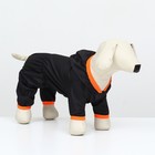 Комбинезон для животных, без подклада, размер XL, чёрный-оранжевый - фото 9418370