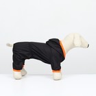Комбинезон для животных, без подклада, размер XL, чёрный-оранжевый - фото 9418371