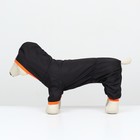 Комбинезон для животных, без подклада, размер XL, чёрный-оранжевый - фото 9418373