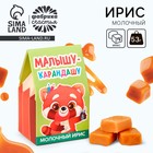 Ирис молочный «Малышу-карандашу» в коробке домике, 53 г. 9840863 - фото 314055147