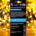 Ароматизатор подвесной Grand Caratt «Снежинка», Ice Fresh - Фото 2