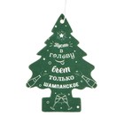 Ароматизатор подвесной Grand Caratt Елка, Новогодний лес - Фото 4