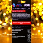 Ароматизатор подвесной Grand Caratt, «новогодний подарок», новая машина - Фото 3