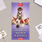 Календарь перекидной на ригеле "Забавные щенки и котята" 2024 год, 16,5х34 см - фото 11185518