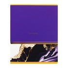 Тетрадь 48 листов в клетку Calligrata "Мрамор с полосой", обложка мелованный картон, ТВИН-лак, тиснение фольгой, блок офсет МИКС - фото 24568593