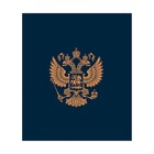 Тетрадь 48 листов в клетку Calligrata "ГосСимволика", обложка мелованный картон, ТВИН-лак, тиснение фольгой, блок офсет МИКС - фото 24319777