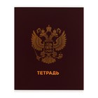 Тетрадь 48 листов в клетку Calligrata "ГосСимволика", обложка мелованный картон, ТВИН-лак, тиснение фольгой, блок офсет МИКС - фото 24319778