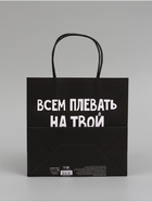 Набор пакетов крафтовых молодёжных пакетов ДР  (артикул 9844031)  большой выбор товаров оптом и в розницу по низким ценам с доставкой