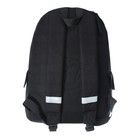 Рюкзак молодежный Bruno Visconti 12-003 40*30*17 дев  "ЛИСИЙ ХВОСТ" чер - фото 24727721