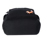 Рюкзак молодежный Bruno Visconti 12-003 40*30*17 дев  "ЛИСИЙ ХВОСТ" чер - фото 24727723