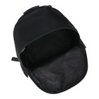 Рюкзак молодежный Bruno Visconti 12-003 40*30*17 дев  "ЛИСИЙ ХВОСТ" чер - фото 24727724