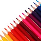 Карандаши 24 цвета ErichKrause ArtBerry премиум, дерево, шестигранные, яркий и мягкий грифель 3.0 мм, картонная упаковка, европодвес - Фото 7