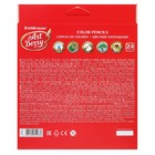 Карандаши 24 цвета ErichKrause ArtBerry премиум, дерево, шестигранные, яркий и мягкий грифель 3.0 мм, картонная упаковка, европодвес - Фото 8