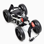 Тележка для гольфа 4х колесная - фото 22939852 Тележка для гольфа 4х колесная - фото 22939852