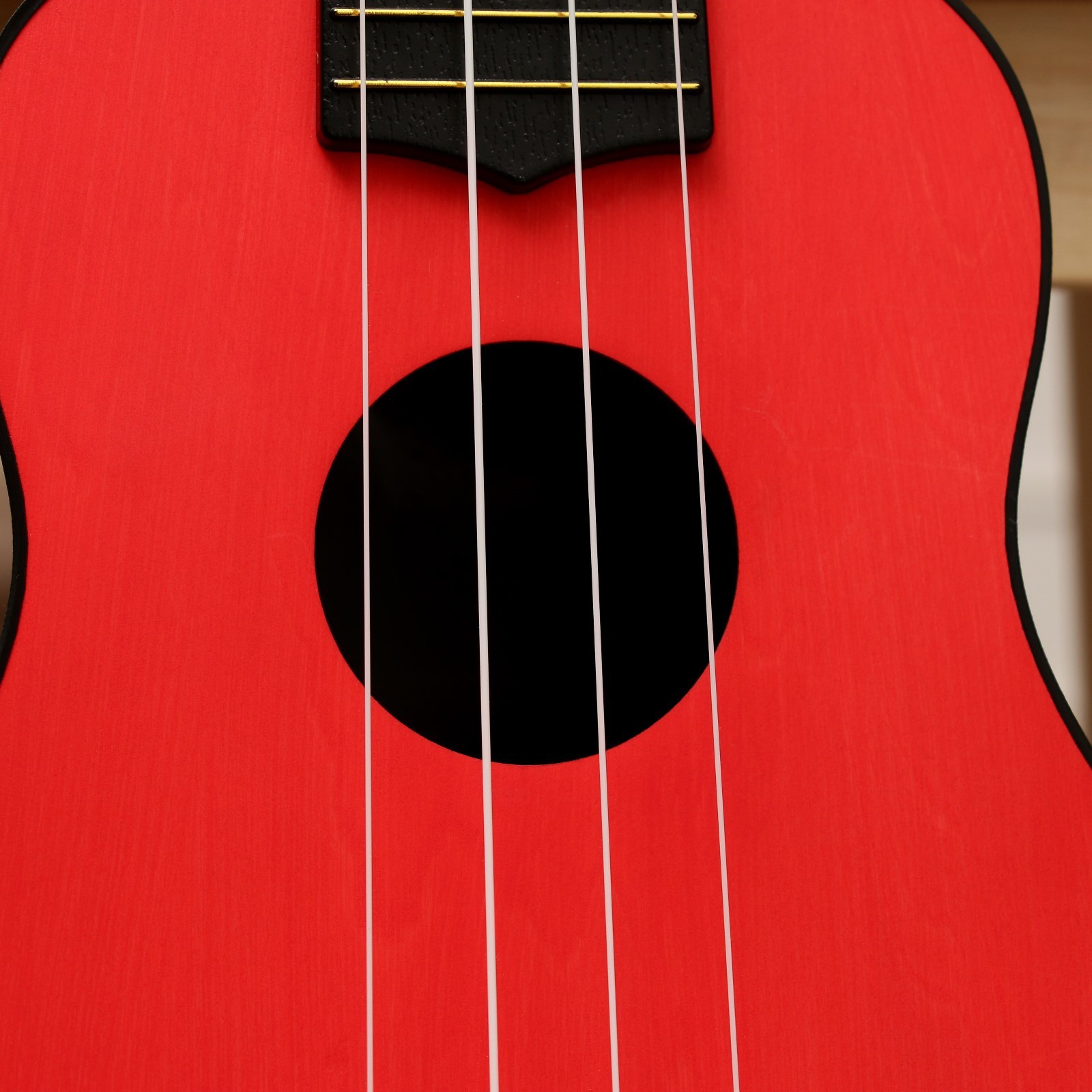 Solid music красная ул 97 фото Solid music красная ул 97 фото