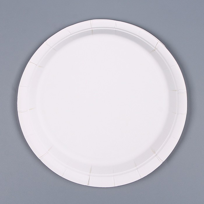 Тарелка бумажная «Панда», в наборе 6 шт. 9672357