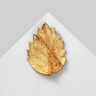 Брошь «Лист» ольхи, цвет коричневый в матовом золоте - фото 7454387