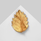 Брошь «Лист» ольхи, цвет золото в матовом золоте - Фото 2