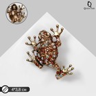 Брошь «Лягушка» шахматка, цвет радужно-коричневый в чернёном золоте - Фото 1