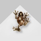 Брошь «Лягушка» шахматка, цвет радужно-коричневый в чернёном золоте - фото 7454418