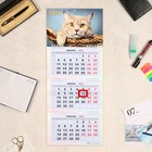 Календарь квартальный, мини-трио "Кот" 2024 год, 19х46 см - фото 11088964