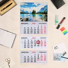 Календарь квартальный, трио "Природа" 2024 год, 30х69 см - фото 11088976