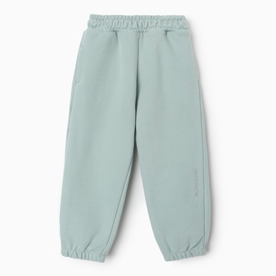 Брюки для девочки, цвет мятный, рост 110-116 см