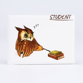 Обложка для студенческого билета, 10,7*0,3*8 см, "Сова с книгами", белый