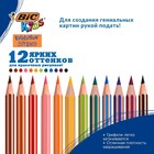 Карандаши цветные 12 цветов, BIC «Kids Evolution Stripes», пластиковые, детские - Фото 2