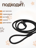 Ринговка для собак, 130×1 см, чёрная - Фото 2