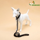 Ринговка для собак, 130×1 см, чёрная - Фото 4