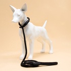 Ринговка для собак, 130×1 см, чёрная - Фото 7