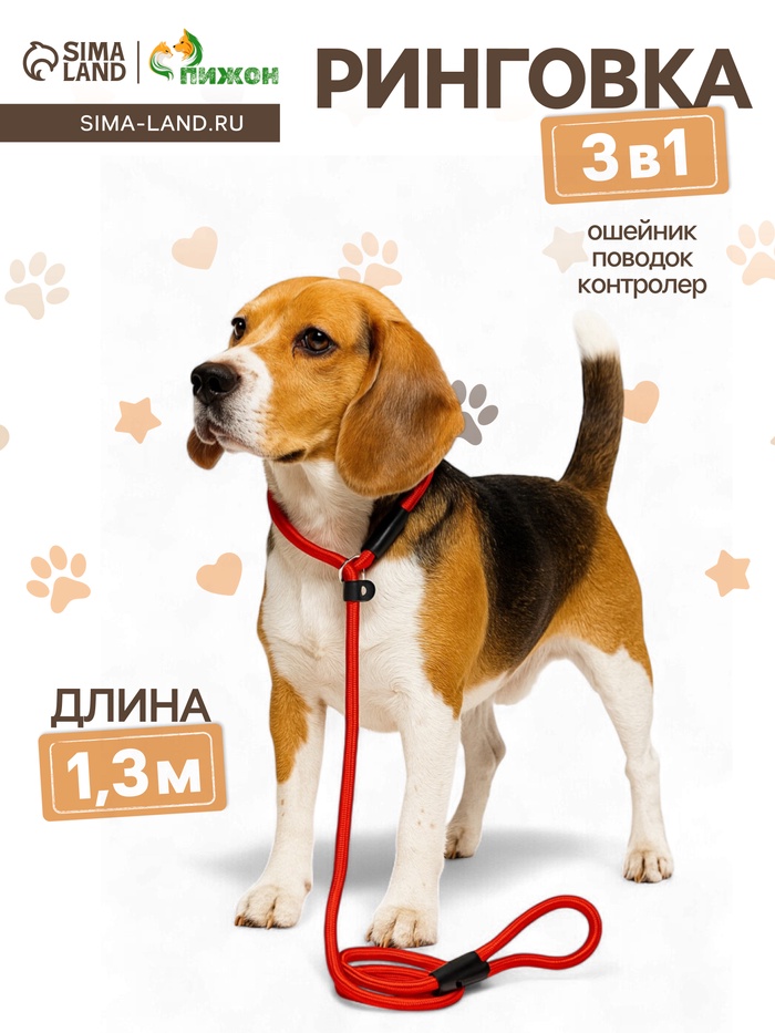 700.jpg?v=1753356671