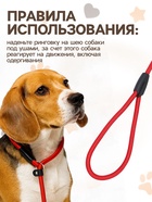 Ринговка для собак, 130×1 см, красная - Фото 3