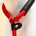 Ринговка для собак, 130×1 см, красная - Фото 5