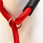 Ринговка для собак, 130×1 см, красная - Фото 6