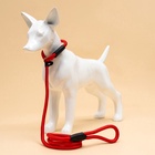 Ринговка для собак, 130×1 см, красная - Фото 7