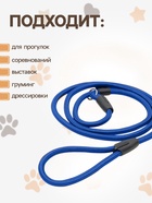 Ринговка для собак, 130×1 см, синяя - Фото 2