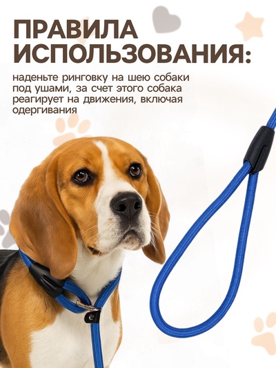 Ринговка для собак, 130×1 см, синяя